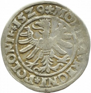 Sigismund I the Old, penny 1529, Cracow