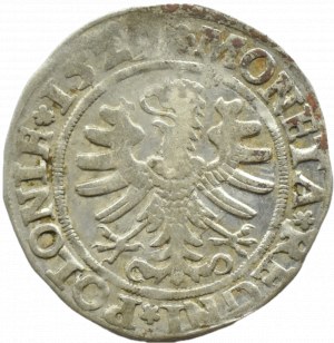 Sigismund I the Old, penny 1529, Cracow, NICE