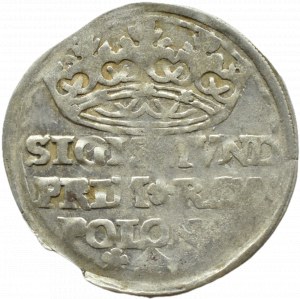 Sigismund I the Old a penny 1527, Cracow