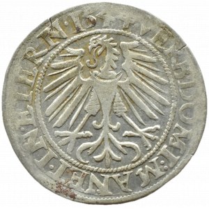 Silesia, Ks. Legnicko-Brzesko-Wołowskie, Frederick II Legnicki, penny 1544, Brzeg