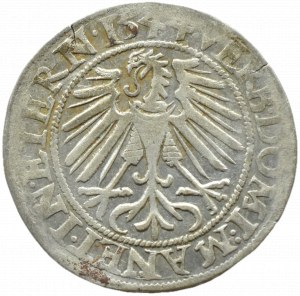 Silesia, Ks. Legnicko-Brzesko-Wołowskie, Frederick II Legnicki, penny 1544, Brzeg