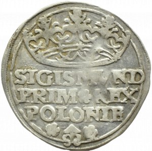 Sigismund I the Old, penny 1529, Cracow