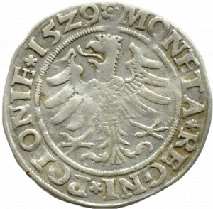 Sigismund I the Old, penny 1529, Cracow
