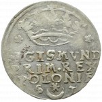 Zygmunt I Stary, grosz 1546 ST, Kraków