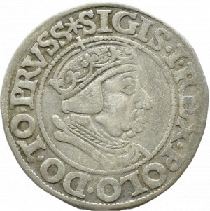 Sigismund I the Old, city penny 1538 PRVSS, Gdańsk