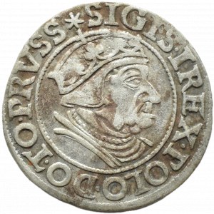 Sigismund I the Old, city penny 1538 PRVSS, Gdańsk