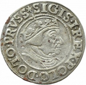 Sigismund I the Old, city penny 1538 PRVSS, Gdańsk