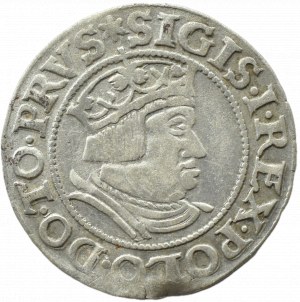 Sigismund I the Old, city penny 1535 PRVS, Gdansk, RARE