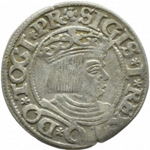 Sigismund I the Old, city penny 1535 PR, Gdansk TRIPLE FLOWER