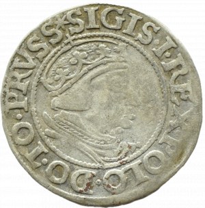 Sigismund I the Old, city penny 1538 PRVSS, Gdańsk