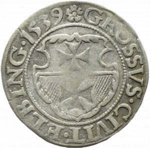 Sigismund I the Old, city penny 1539 ELBING/PRVSS, Elblag ROZETA