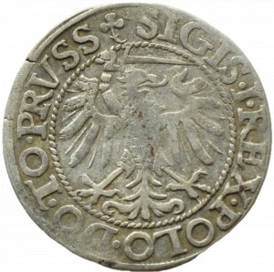 Sigismund I the Old, city penny 1539 ELBING/PRVSS, Elblag ROZETA