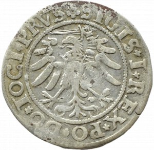 Sigismund I the Old, city penny 1533 ELBINK/PRVS, Elblag LADY