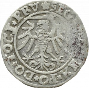 Sigismund I the Old, city penny 1535, Elbląg