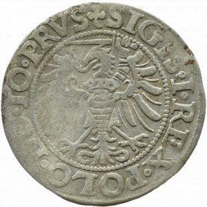 Sigismund I the Old, city penny 1539 ELBING/PRVS, Elblag STAR