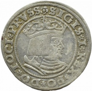 Sigismund I the Old, penny 1529, Toruń PRVSS/PRVSS