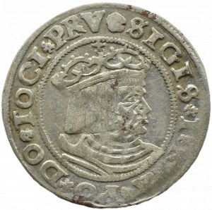 Sigismund I the Old, penny 1529, Toruń PRV/PRVSS