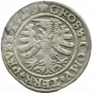 Sigismund I the Old, penny 1529, Toruń PRV/PRVSS