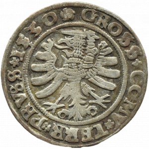 Zygmunt I Stary, grosz 1530 PRV/PRVSS, Toruń NIESPOTYKANE OZDOBNIKI
