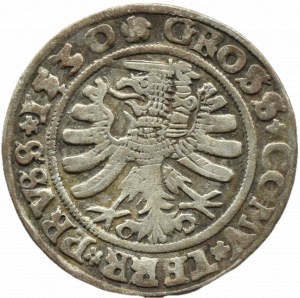 Sigismund I the Old, penny 1530, Toruń PRV/PRVSS UNLIMITED DECORATIONS