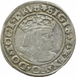 Zygmunt I Stary, grosz 1530 PRV/PRVS, Toruń RZADKOŚĆ! - COVMV