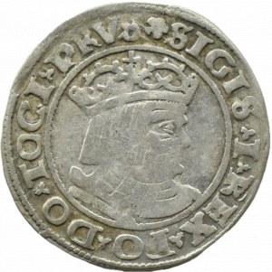 Sigismund I the Old, penny 1530, Toruń PRV/PRVS, RARE! - COVMV
