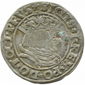 Zygmunt I Stary, grosz 1531 PRVS/PRVSS, Toruń