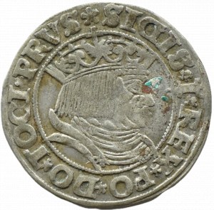 Sigismund I the Old, penny 1531, Toruń PRVS/PRVSS