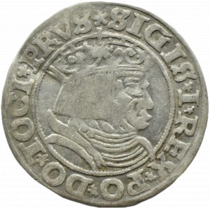 Zygmunt I Stary, grosz 1531 PRVS/PRVSS, Toruń WIĘKSZE POPIERSIE
