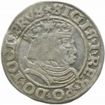 Zygmunt I Stary, grosz 1531 PRVS/PRVSS, Toruń WIĘKSZE POPIERSIE