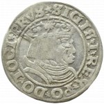 Zygmunt I Stary, grosz 1531 PRVS/PRVSS, Toruń WIĘKSZE POPIERSIE