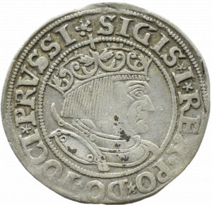 Sigismund I the Old, penny 1532(Z), Torun, PRVSSI/PRVSS