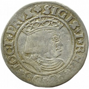 Zygmunt I Stary, grosz 1530 PRVS/PRVSS, Toruń