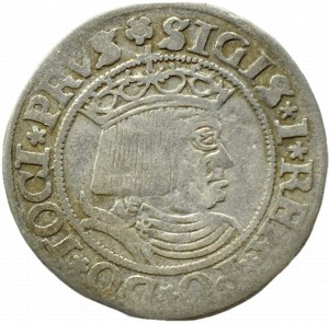 Sigismund I the Old, penny 1530, Toruń PRVS/PRVSS