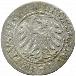 Zygmunt I Stary, grosz 1530 PRVS/PRVSS, Toruń
