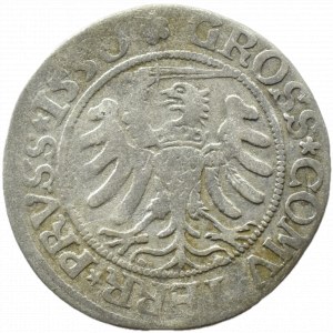 Sigismund I the Old, penny 1530, Toruń PRVS/PRVSS