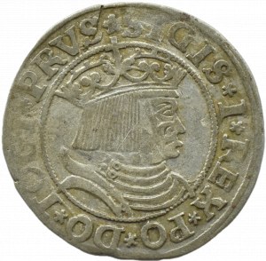 Sigismund I the Old, penny 1531, Toruń PRVS/PRVS