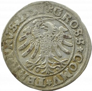 Sigismund I the Old, penny 1531, Toruń PRVS/PRVS