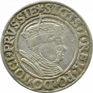 Sigismund I the Old, penny 1534, Toruń POPIERS IN Cloak AND Crown