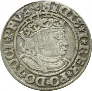 Sigismund I the Old, penny 1532(Z), Torun, PRVS/PRVSS