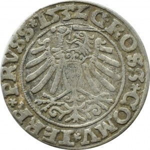 Sigismund I the Old, penny 1532(Z), Torun, PRVS/PRVSS