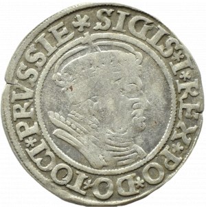 Sigismund I the Old, penny 1534, Toruń POPIERS IN Cloak AND Crown