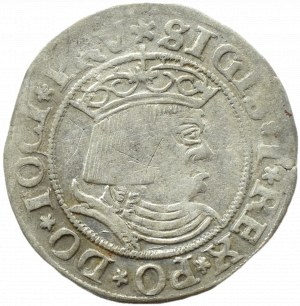 Sigismund I the Old, penny 1531, Toruń PRV/PRVSS