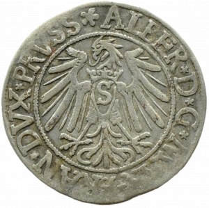 Ducal Prussia, Albrecht, Prussian penny 1539, Königsberg