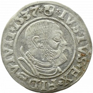 Ducal Prussia, Albrecht, Prussian penny 1537, Königsberg
