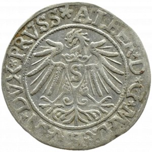 Ducal Prussia, Albrecht, Prussian penny 1537, Königsberg