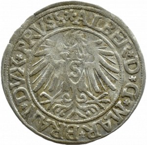 Ducal Prussia, Albrecht, Prussian penny 1538, Königsberg