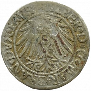 Prusy Książęce, Albrecht, grosz pruski 1539, Królewiec