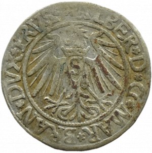 Ducal Prussia, Albrecht, Prussian penny 1539, Königsberg