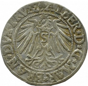 Ducal Prussia, Albrecht, Prussian penny 1541, Königsberg LONG BRODA